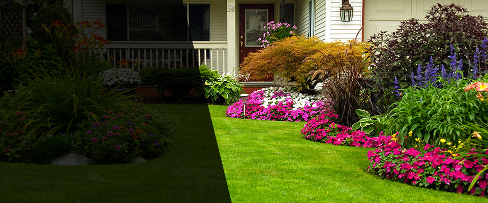 Oley Landscapers