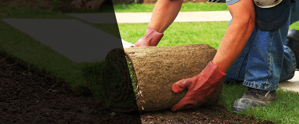 Oley Landscapers